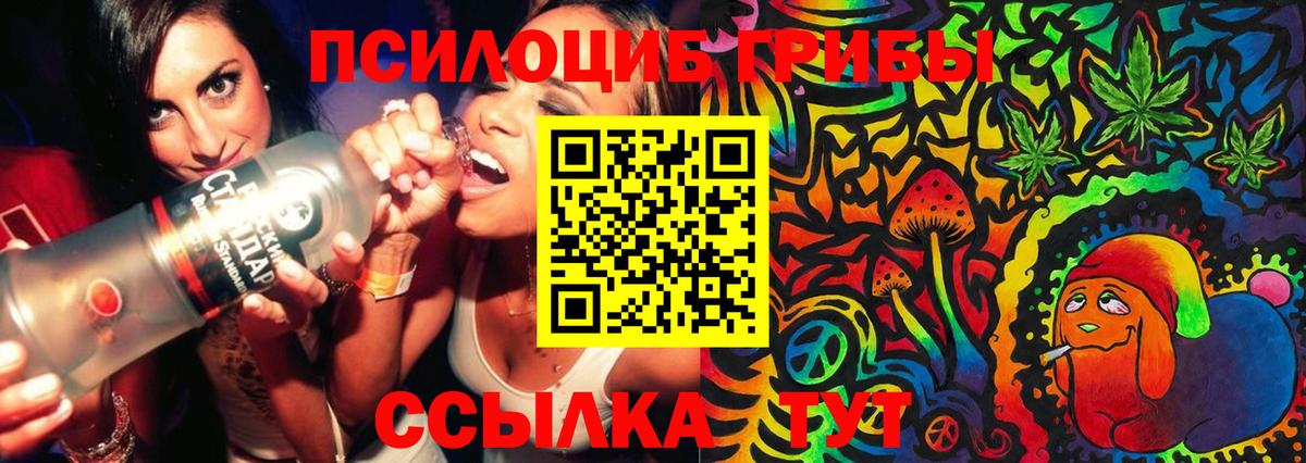 Псилоцибиновые грибы прущие грибы  Вход с VPN  Отрадный 