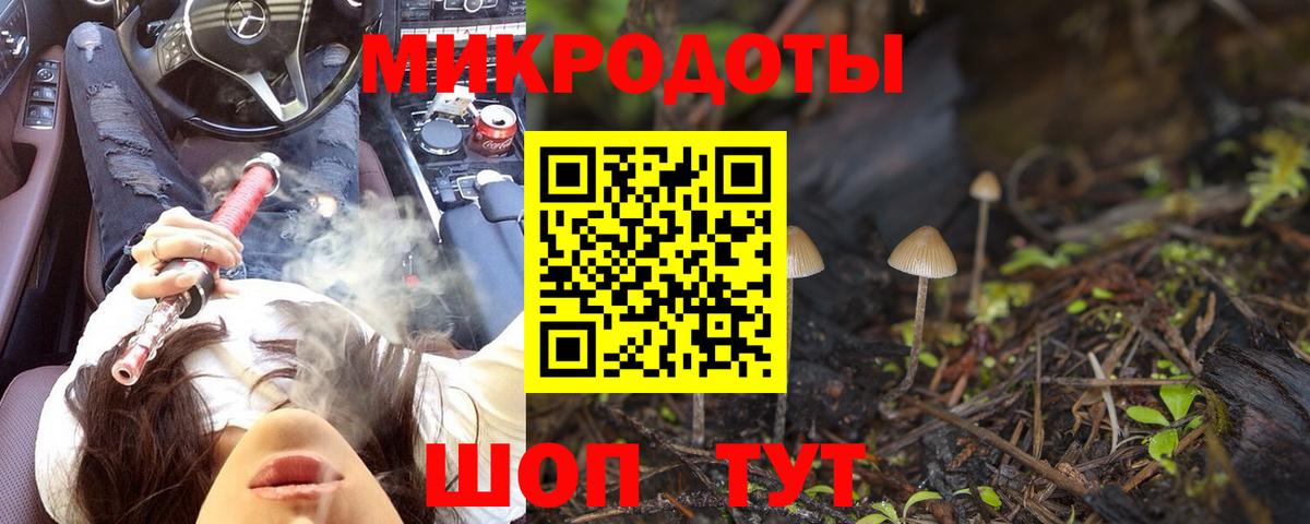 Псилоцибиновые грибы Psilocybine cubensis Отрадный